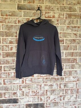 Patagonia Kid’s Charcoal Hoody Sweatshirt in the "'95 Oval Logo Tropiclimb